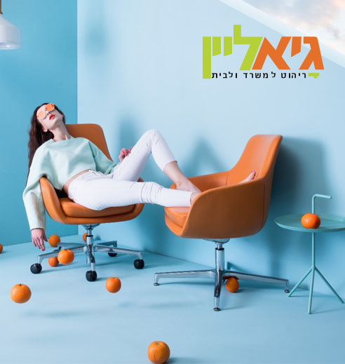גיא ליין, חנות ריהוט משרדי אונליין